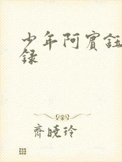 少年阿宾钰慧目录