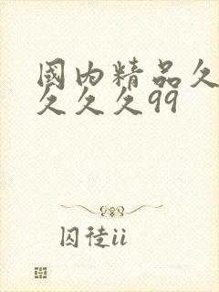 国内精品久久久久久久99