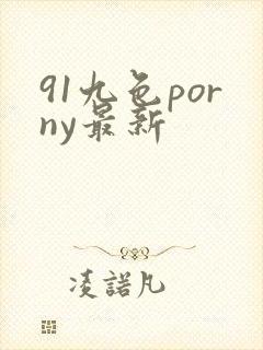 91九色porny最新