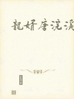 龙婿唐浣溪陆凡