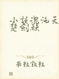 小说混沌天帝诀楚剑秋