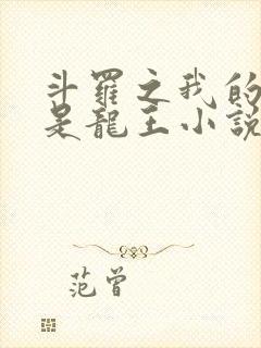 斗罗之我的老婆是龙王小说免费看