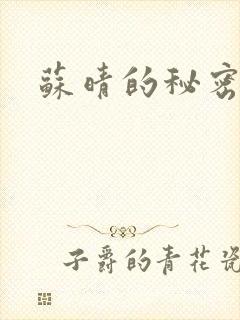 苏晴的秘密小说