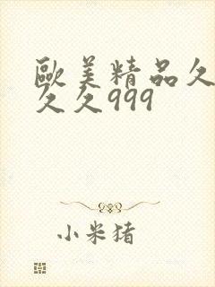 欧美精品久久久久久999