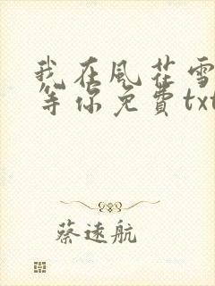 我在风花雪月里等你免费txt下载