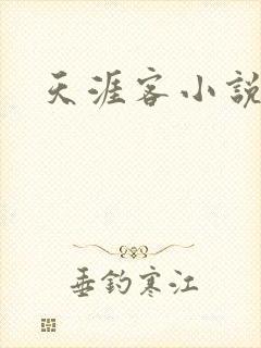 天涯客小说封面