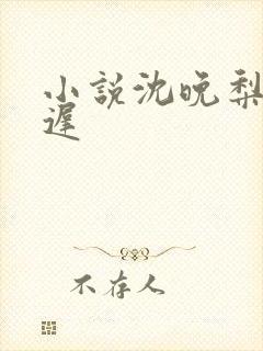 小说沈晚梨谢云迟