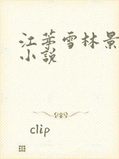 江葶雪林景和的小说
