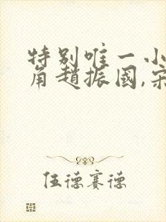 特别唯一小说主角赵振国,宋婉清