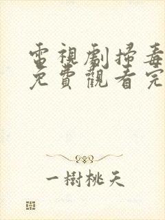 电视剧扫毒风暴免费观看完整版高清