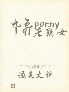 九色porny丨91老熟女