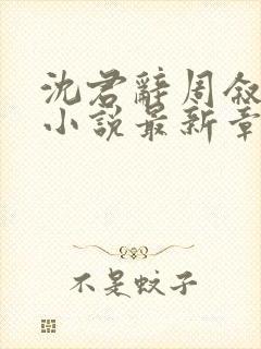 沈君辞周叙林雪小说最新章节免费阅读