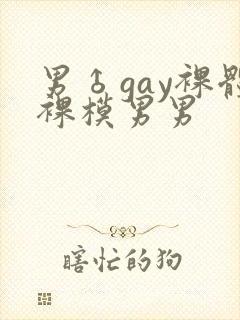 男♂gay裸体裸模男男封面