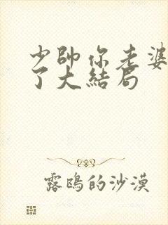 少帅你老婆又跑了大结局