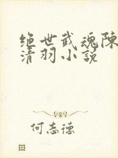 绝世武魂陈枫燕清羽小说