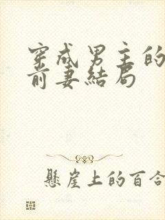 穿成男主的炮灰前妻结局