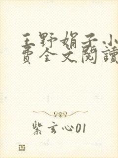 王野娟子小说免费全文阅读