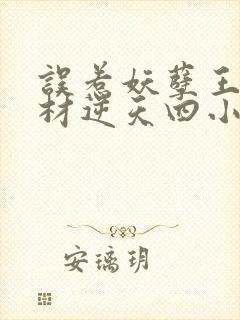 误惹妖孽王爷废材逆天四小姐 苏小暖封面