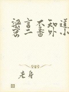 梁言不知道的秘密二番外小说