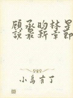 顾承昀林星禾小说最新章节免费阅读