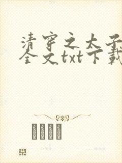 清穿之太子娇妃全文txt下载封面