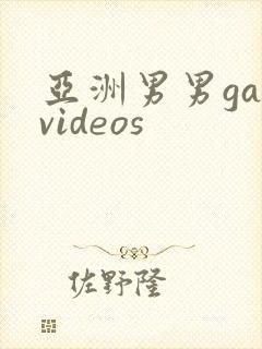 亚洲男男gayvideos