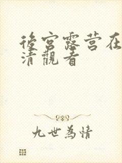 后宫露营在线高清观看封面