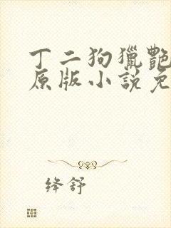 丁二狗猎艳人生原版小说免费阅读
