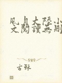 风月大陆小说全文阅读无删减