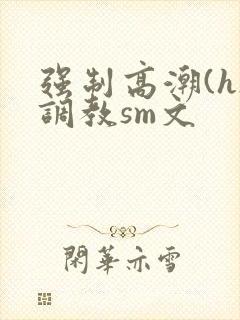 强制高潮(h)调教sm文