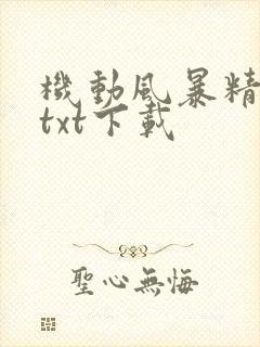 机动风暴精校版txt下载封面