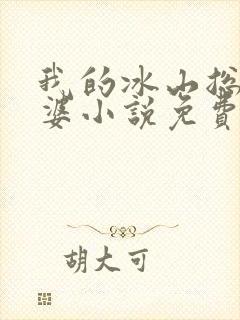 我的冰山总裁老婆小说免费