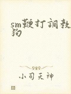 sm鞭打调教母狗