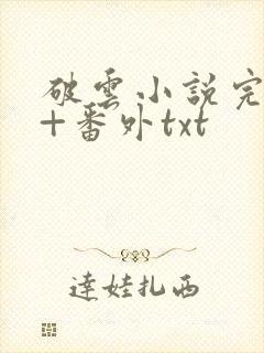 破云小说完整版+番外txt