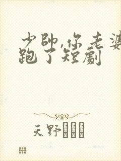 少帅,你老婆又跑了短剧