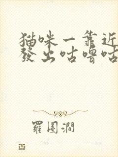 猫咪一靠近你就发出咕噜咕噜的声音