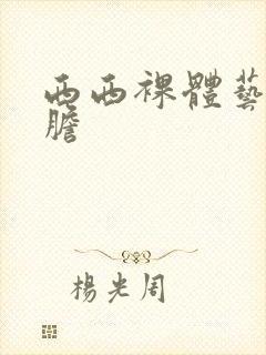 西西裸体艺术大胆封面