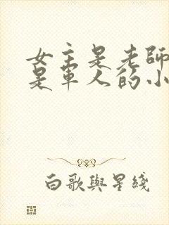 女主是老师男主是军人的小说