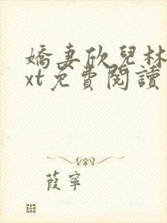 娇妻欣儿林哥txt免费阅读番外篇封面