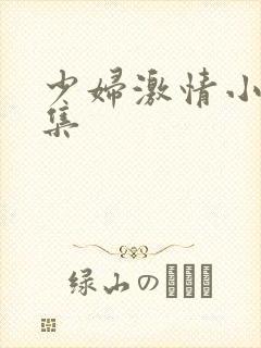 少妇激情小说合集封面