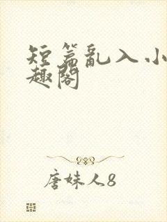 短篇乱入小说笔趣阁封面