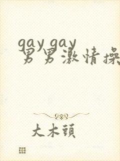 gay gay男男激情操操