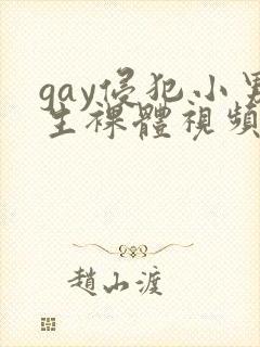 gay侵犯小男生裸体视频