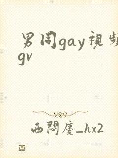 男同gay视频gv封面