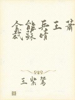 全能兵王萧晨总裁苏晴