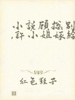 小说顾总别虐了,许小姐嫁给你哥了