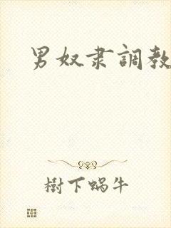 男奴隶调教小说封面