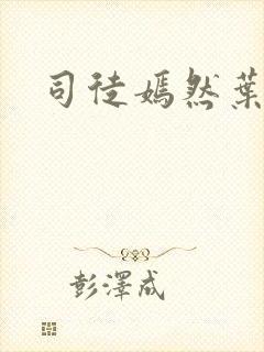 司徒嫣然叶凡封面