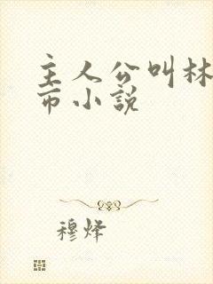 主人公叫林峰都市小说封面