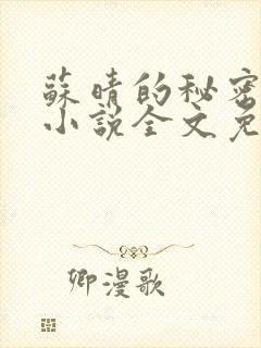 苏晴的秘密言情小说全文免费阅读